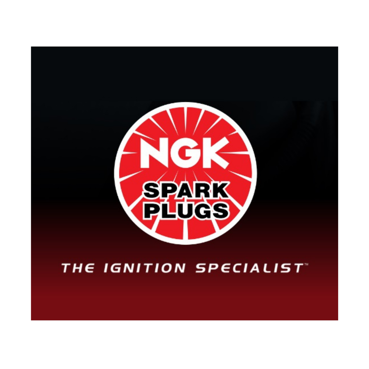 ngk spark plug